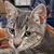 Floyd Perry Jr's profile image