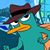 Gregory Conterio's profile image