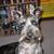 Sharon Price George's profile image