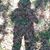 Serai Abraham's profile image