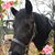 Suzanne Mc Allister-Strunk's profile image