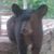 Lisa Lawhead Mack's profile image