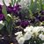 Rebecca Spradlin Murphy's profile image