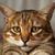 Judi Gregoire Richardson's profile image
