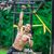 familyfitness's profile image