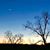 Linda Frazier Smallwood Lovett's profile image