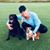 Belinda Jane Levinsohn's profile image