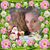 Tracey Kalebaugh's profile image