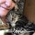 Liz Hobbs's profile image