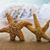 Lorri Martin's profile image