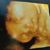Marie Painter's profile image