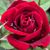 Sylvia Martinez's profile image