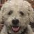 Gary Jokela's profile image
