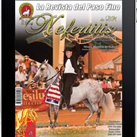 Ricardo Abreu Ramos's profile image