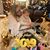 Elizabeth Brockett Holland's profile image
