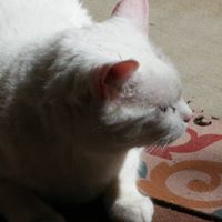 Debbie Medina's profile image