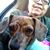 Carmen T Meeker Sereno's profile image