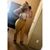 Silvia Gisel DelaCruz's profile image