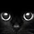 Thresa Day's profile image