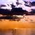 Sherry A. Roberts-Janus's profile image