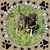Rhonda Wilkes-Garcia's profile image