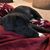 Lakota Luna's profile image
