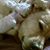 Debra Beyer's profile image