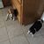 Delana Perkins Osbourn's profile image