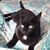 Rita Whites's profile image