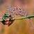 Beverly Williams's profile image