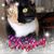 Sandy Hicks's profile image