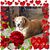 Angie Macioce-brown's profile image