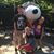Jess Doroba's profile image