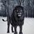 Ronnie M. Hickman's profile image