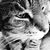 Renee Benson's profile image