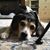 Trish Allgood Hamilton's profile image
