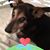 Teresa Lotti's profile image