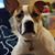 Michelle Brown's profile image