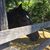 Kathy Larkins's profile image