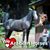 Rachelle Samuel's profile image