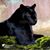 Penny Houseknecht's profile image