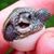 Allison Melin's profile image