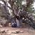 David Louis Molnar's profile image