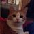 Jan Foster's profile image