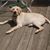 Debbie Bindus's profile image