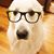 JL Lin's profile image