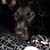 Tina Chesniak's profile image