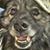 Jay Wunsch's profile image