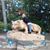 Amy Roberto Comiskey's profile image