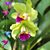 Jan Hurst-Lichter's profile image